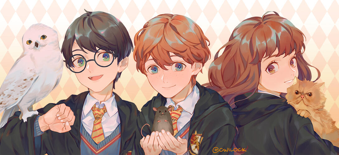 HP HP